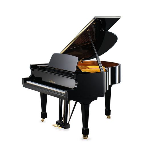 C. Bechstein A 160