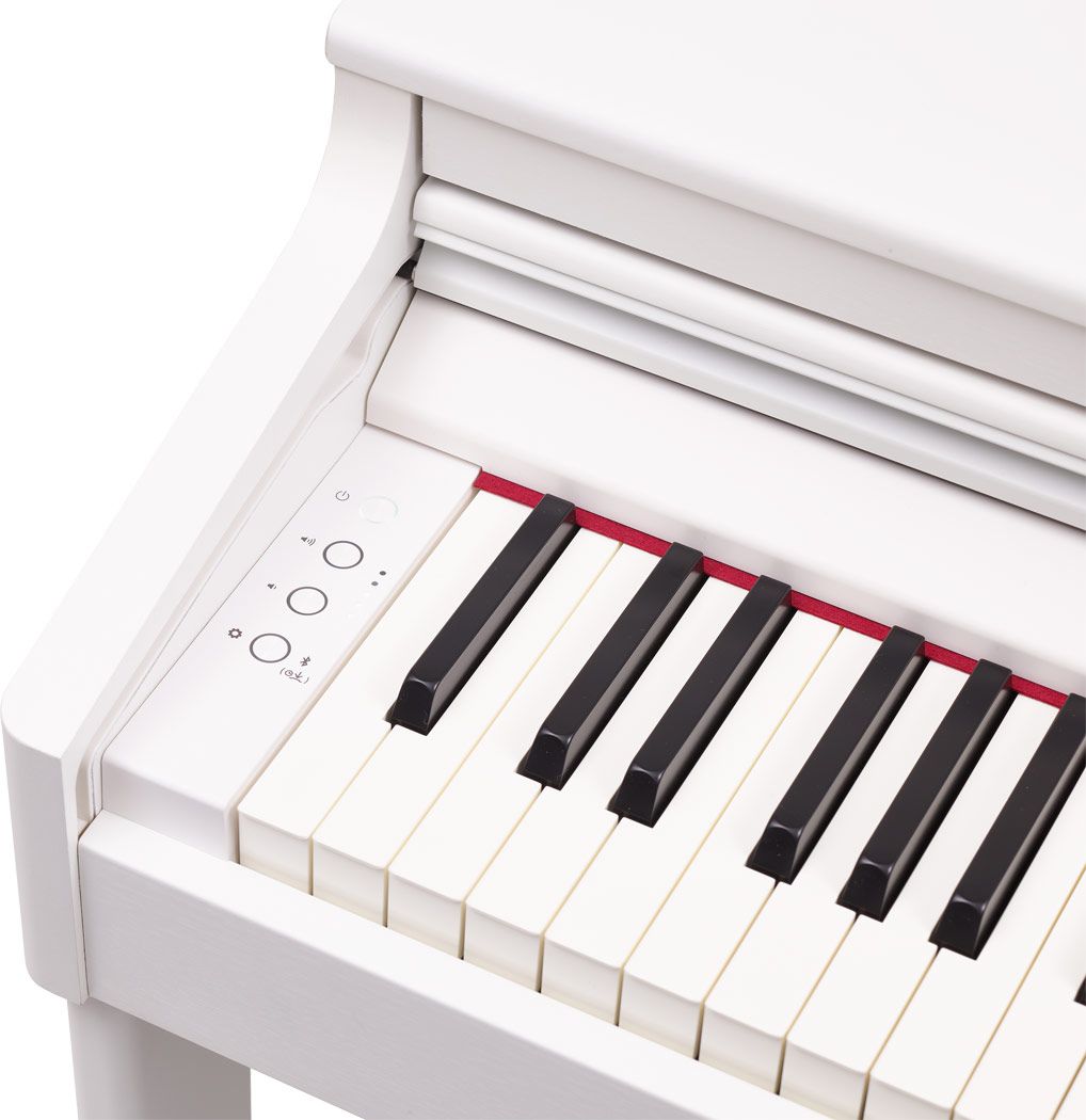 Roland RP-701 WH