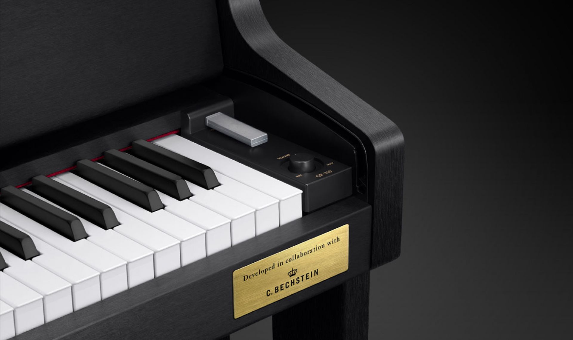 Casio GP-310