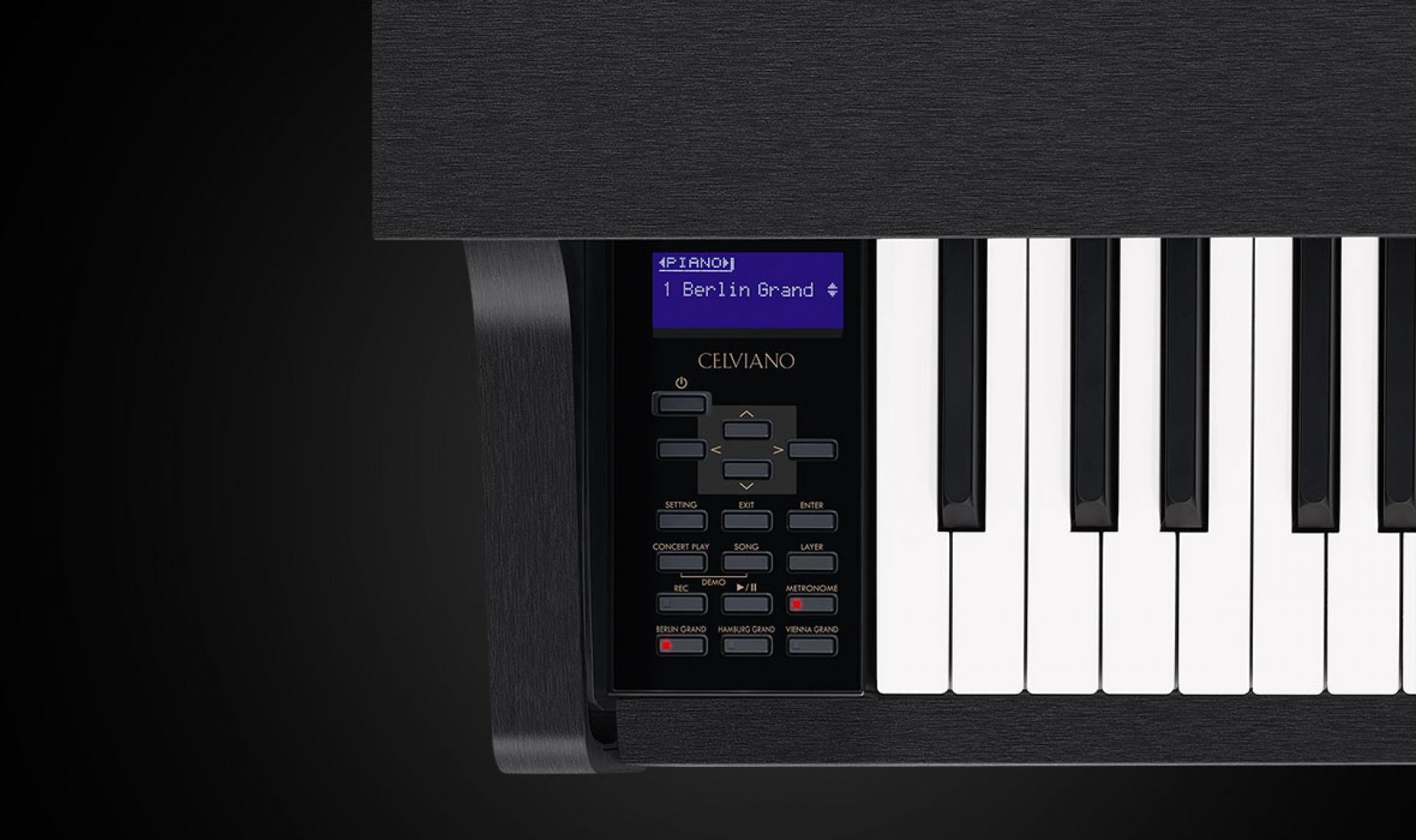 Casio GP-310