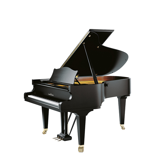 C. Bechstein A 192 Concert