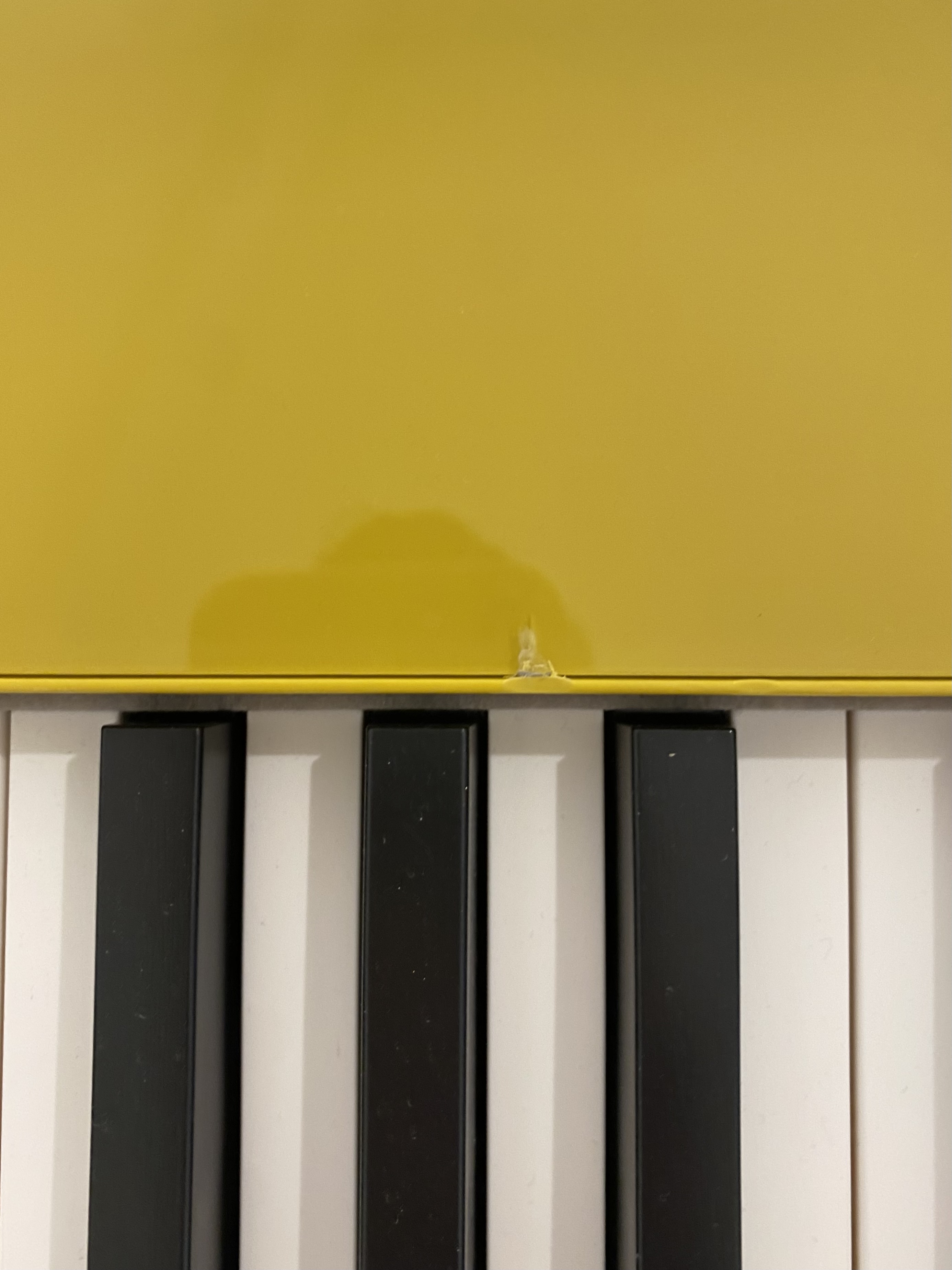 Casio Privia PX-S7000 HM