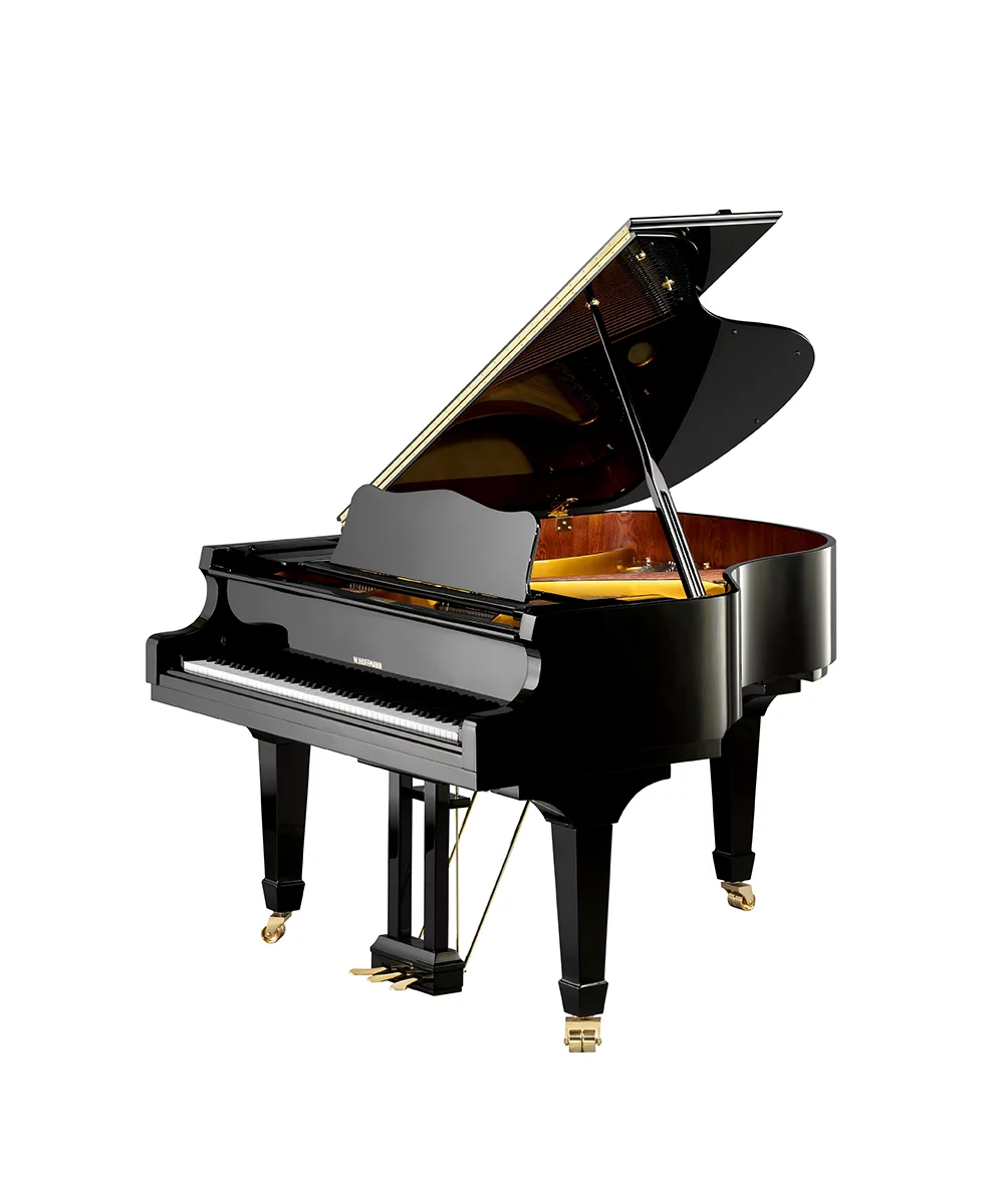 W. Hoffmann V 158