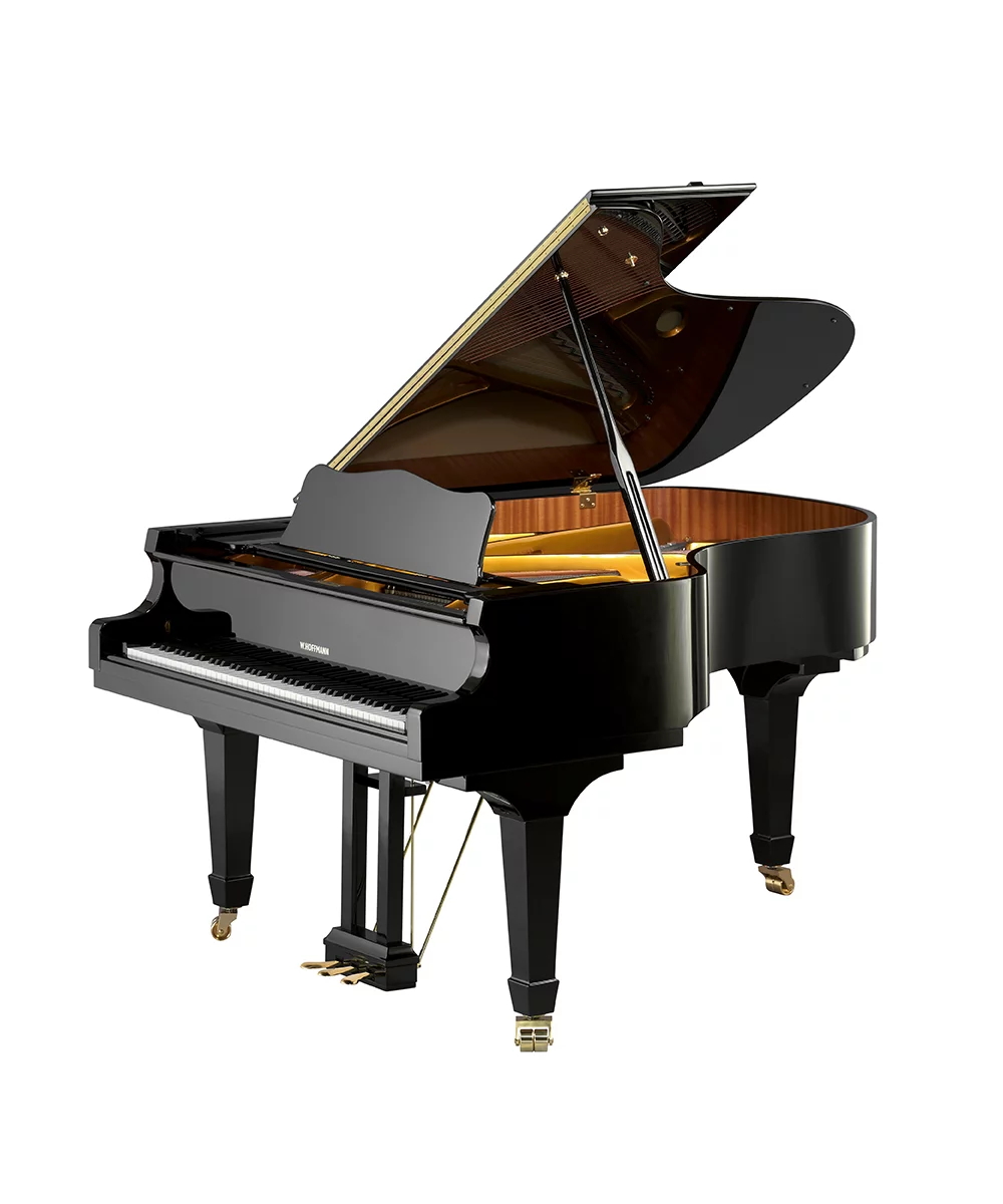 W. Hoffmann V 175