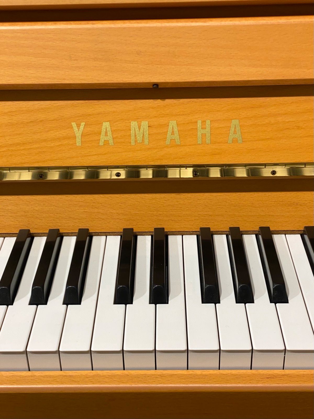 Yamaha B1 Silent